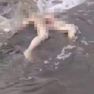 あり得ない殺され方をされてしまった女の子