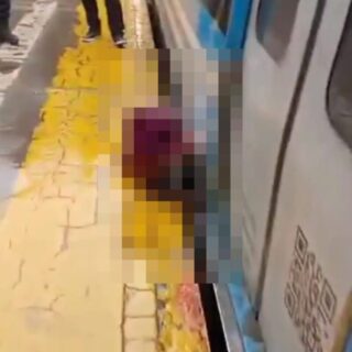 真っ二つな女性(かなり閲覧注意!!)