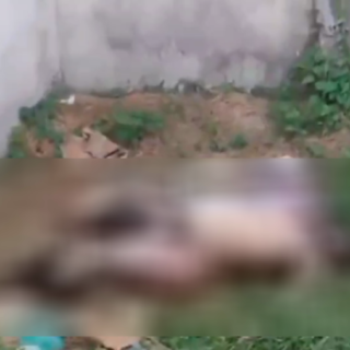 エロい死体の詳細（閲覧注意！！）